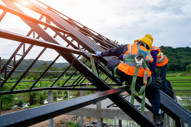 Best Roof Waterproofing Services  in Somerville, TN