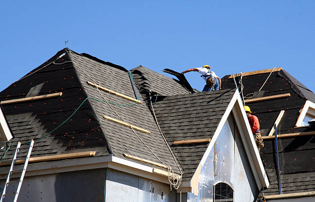 Best Gutter Installation and Roofing  in Somerville, TN