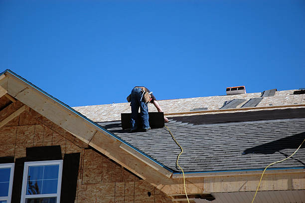 Best Roof Gutter Cleaning  in Somerville, TN