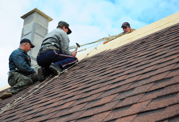 Quick and Trustworthy Emergency Roof Repair Services in Somerville, TN